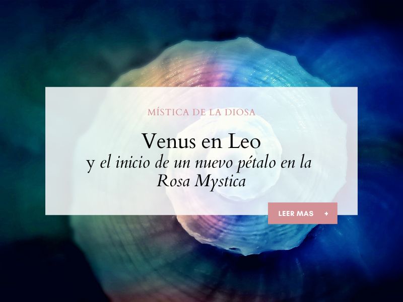 Rosa Mystica-Venus en Leo