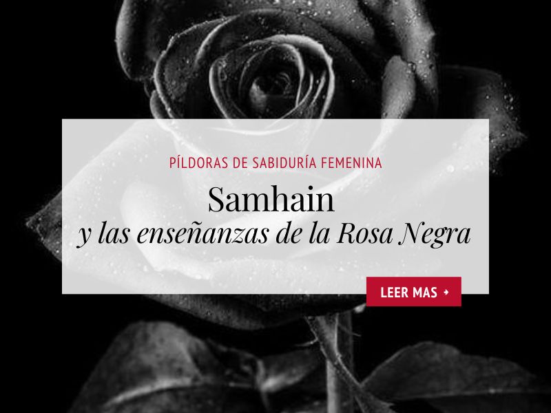 Rosa Mystica_Samhain y las enseñanzas de la Rosa Negra